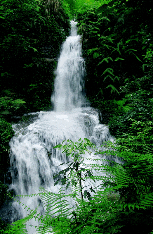 524_800 竖版 竖屏