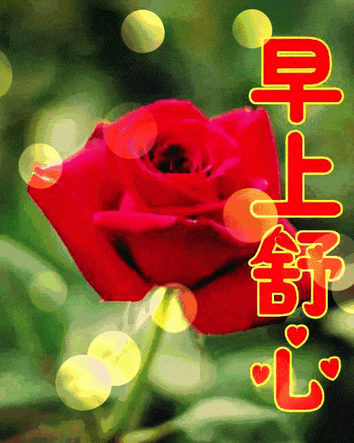 最新版早上好祝福语2019 早上好问候语表情图片