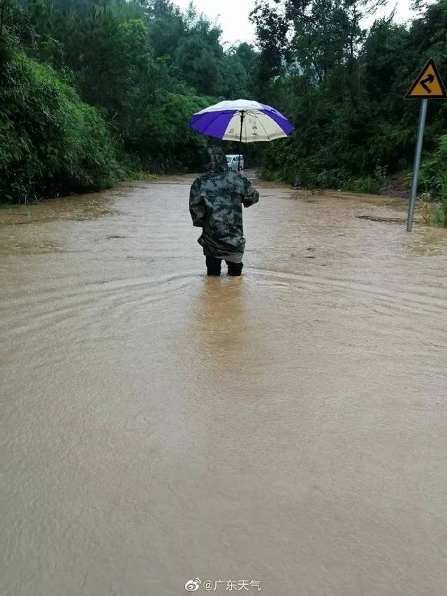 今天下班你挨浇了吗?明天全省大部降水结束,周四将再迎降雨 降温