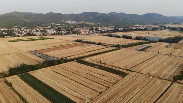 航拍萧县农村收麦!125万亩的麦田!