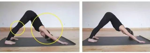 瑜伽私教才会教你的"手肘/膝超伸"矫正