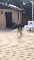 117_207gif 动态图 动图