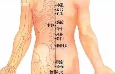 因此打通督脉显得非常重要. 如何打通督脉呢?