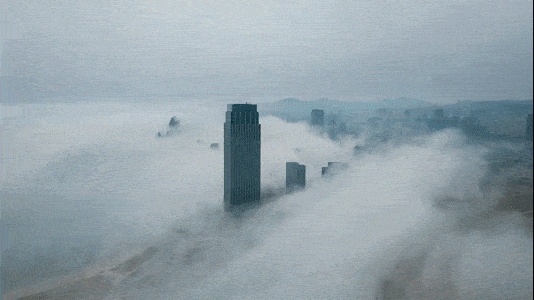 既然留恋，就一起留连吧