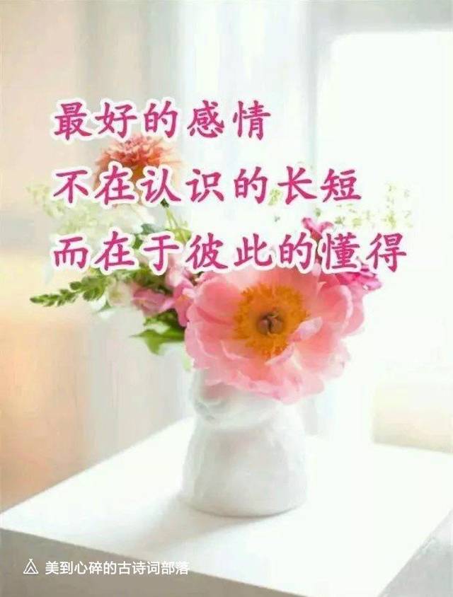 穿透人心的句子