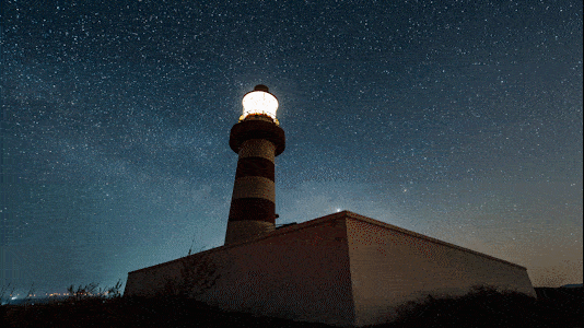 既然留恋，就一起留连吧