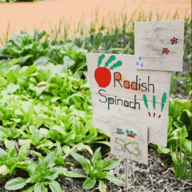 福利壕气送!恒大·启迪幼儿园夏日初体验全城招募啦!