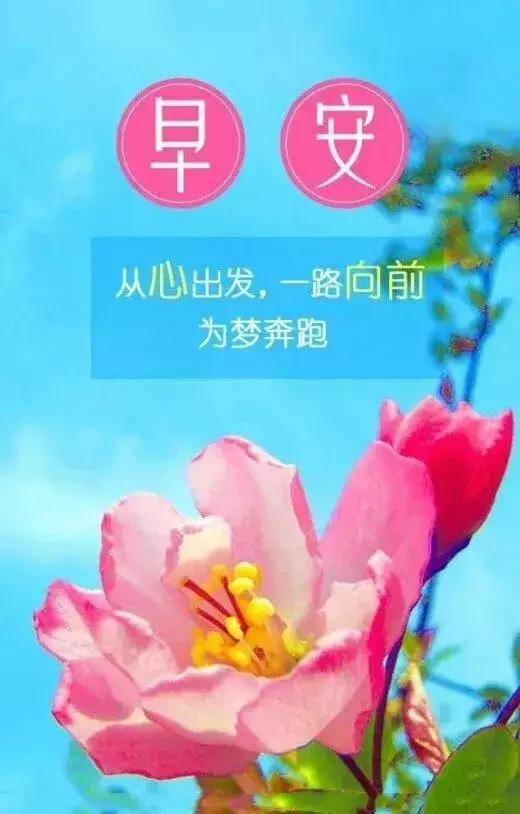 力争上游,虽然辛苦,但也充满了机会,早上好