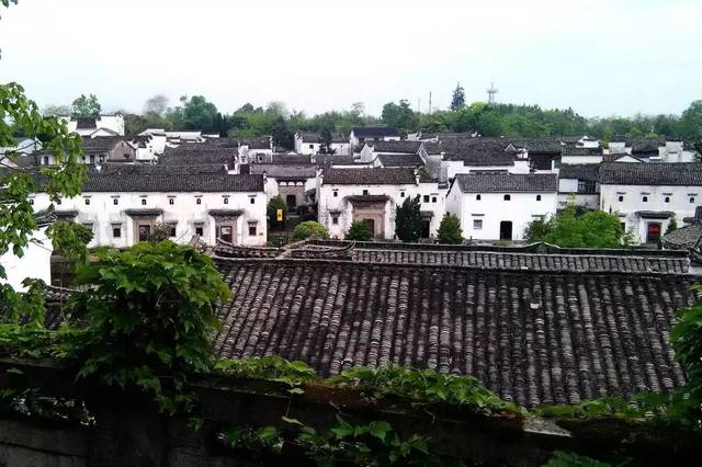 非遗国粹 国家级非遗—婺州传统民居营造技艺(诸葛村古村落营造