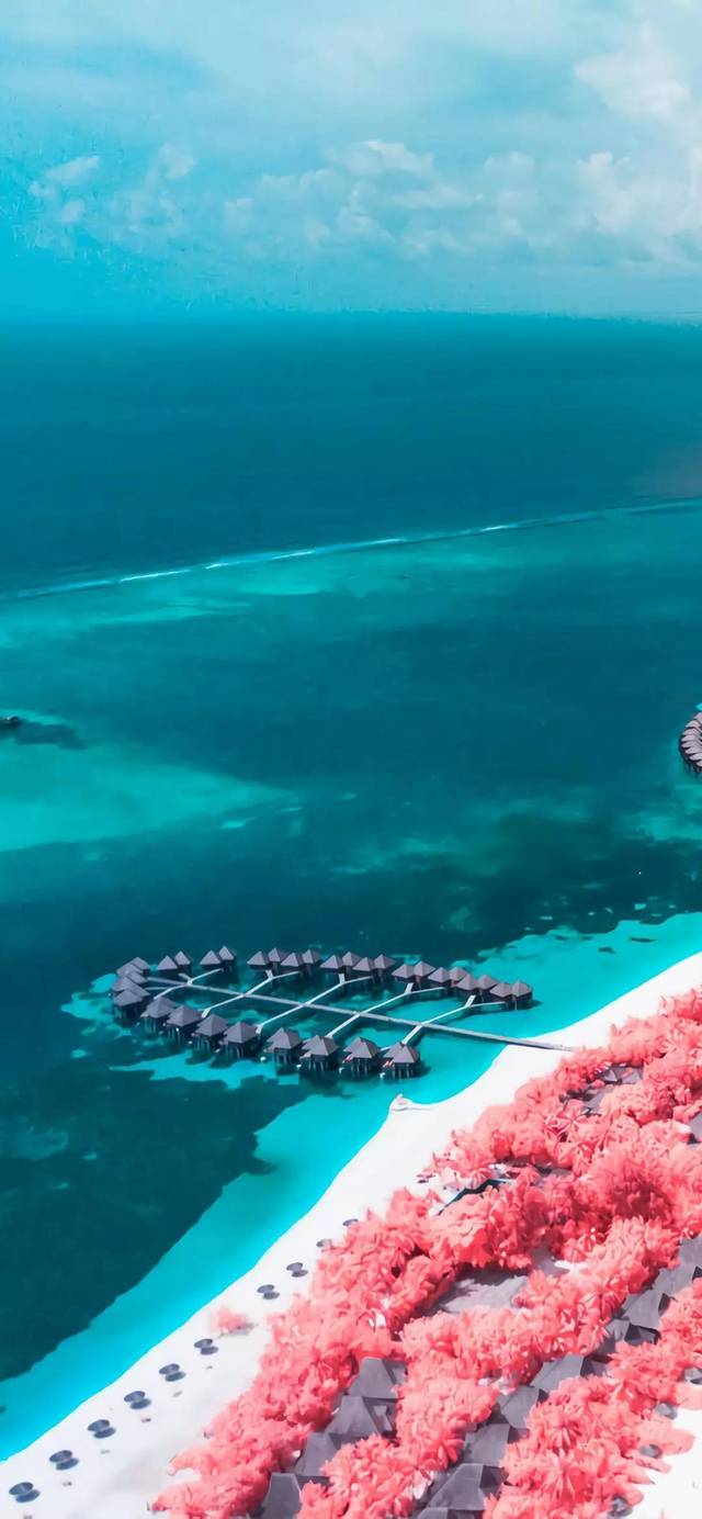 风景壁纸 | 粉岛蓝海