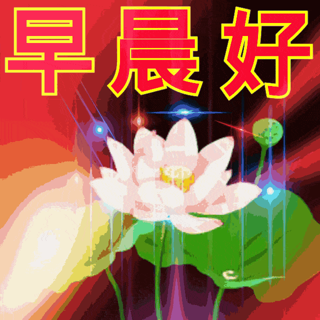 朋友们早上好问候语阳光句子 早上好表情图片大全