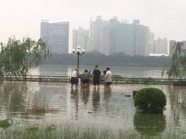 连续暴雨,石龙金沙湾公园出现这样的景象
