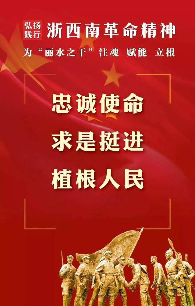 【青年大学习】"浙西南革命精神"研究成果在丽水青年干部中引起强烈