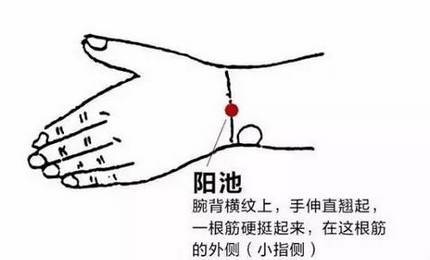 配穴辅助:阳池,三焦俞