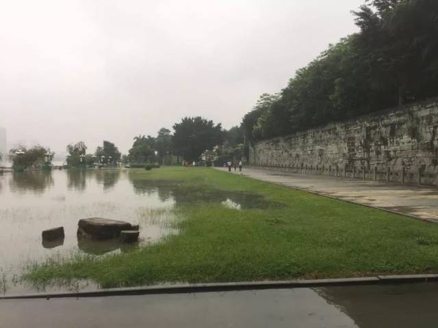 连续暴雨,石龙金沙湾公园出现这样的景象