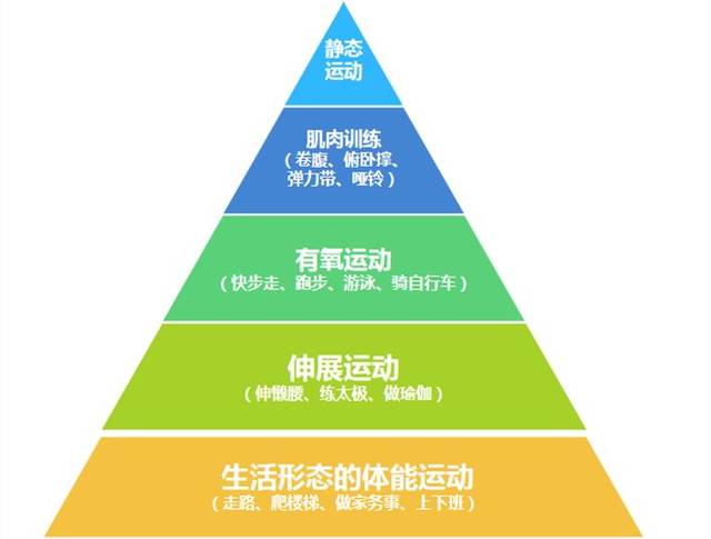 每日运动量多少与金字塔颜色面积相关