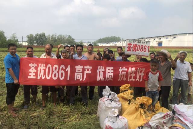 【爱种优选】 安徽荃华种业 水稻种子 荃优0861