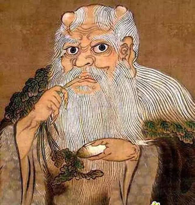 真乃神药也!