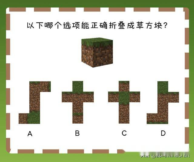 我的世界:以下哪个图能折叠成草方块?萌新:这5题我一个都不会