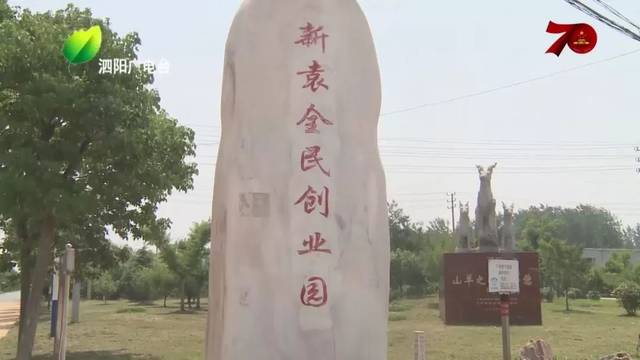 【献礼70年 空中看泗阳】新袁镇:打造宜工宜居宜业的特色镇村