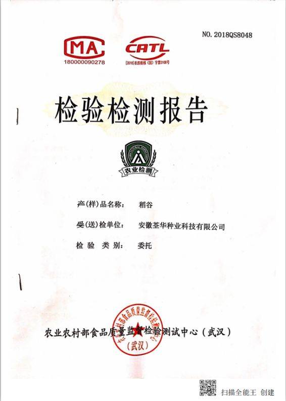 【爱种优选】 安徽荃华种业 水稻种子 荃优0861
