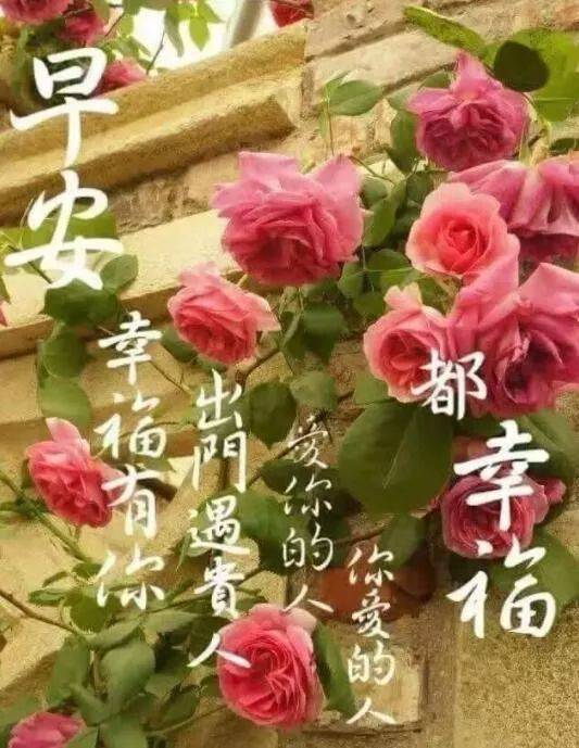 问候大家早上好的漂亮祝福图片 非常漂亮的清晨早上好