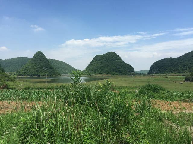 贵州贵阳风水宝地木星贵人穴,风水大师王君植燕村寻龙点穴看风水阴宅