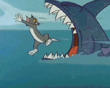 猫和老鼠gif动态表情包