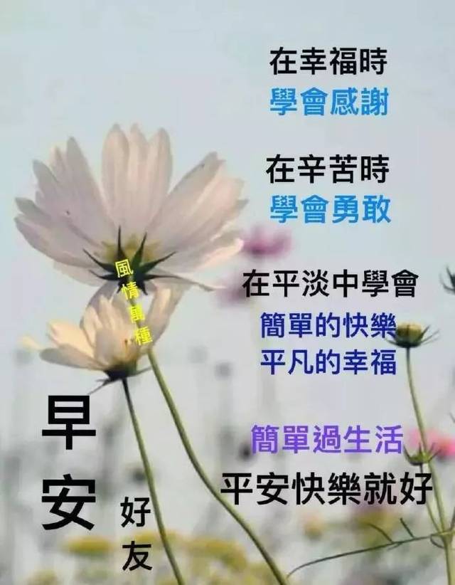 好看的群发短信早上好问候语图片 早安祝福语大全带表情包