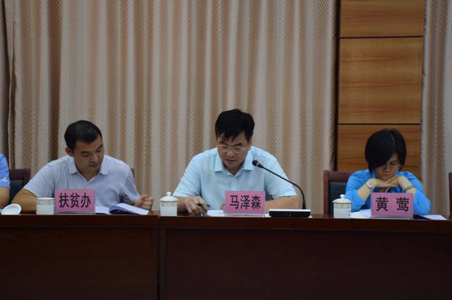 市政府副秘书长,市扶贫办党组书记,主任覃映霞率队到龙圩区调研脱贫