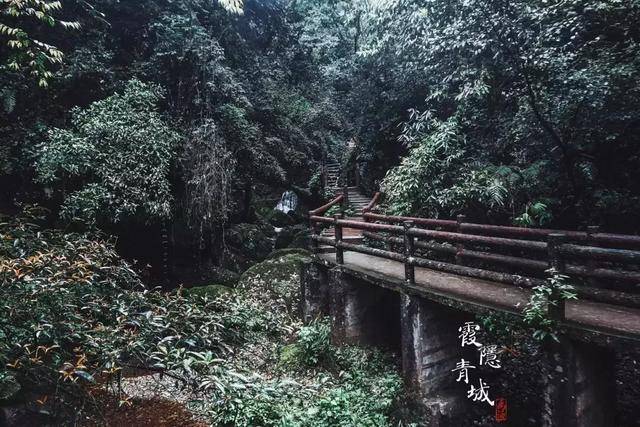 百丈桥是用木板铺成的曲桥,位于翠映湖与白云古寨之间,飞泉沟中游