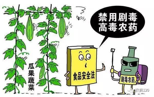 京博农化的创新之路与行业未来展望