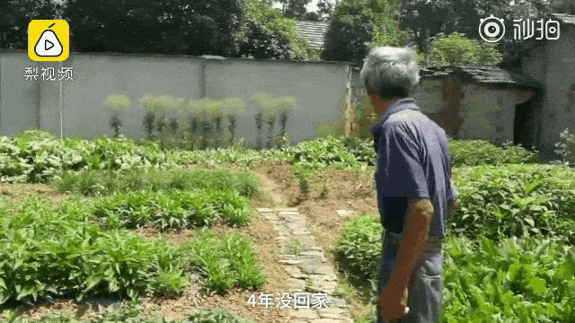 640_360gif 动态图 动图