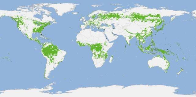 卫星绘制全球森林地图!中国提升森林覆盖范围大,日本