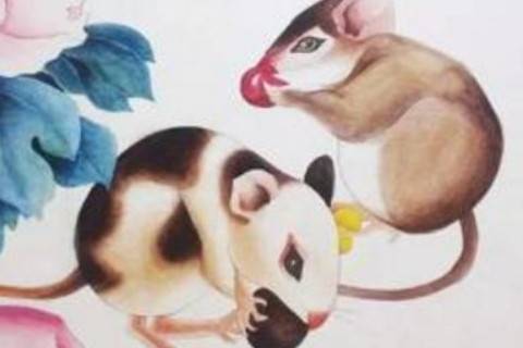 1996年今年多大了,属鼠2020年运势及运程