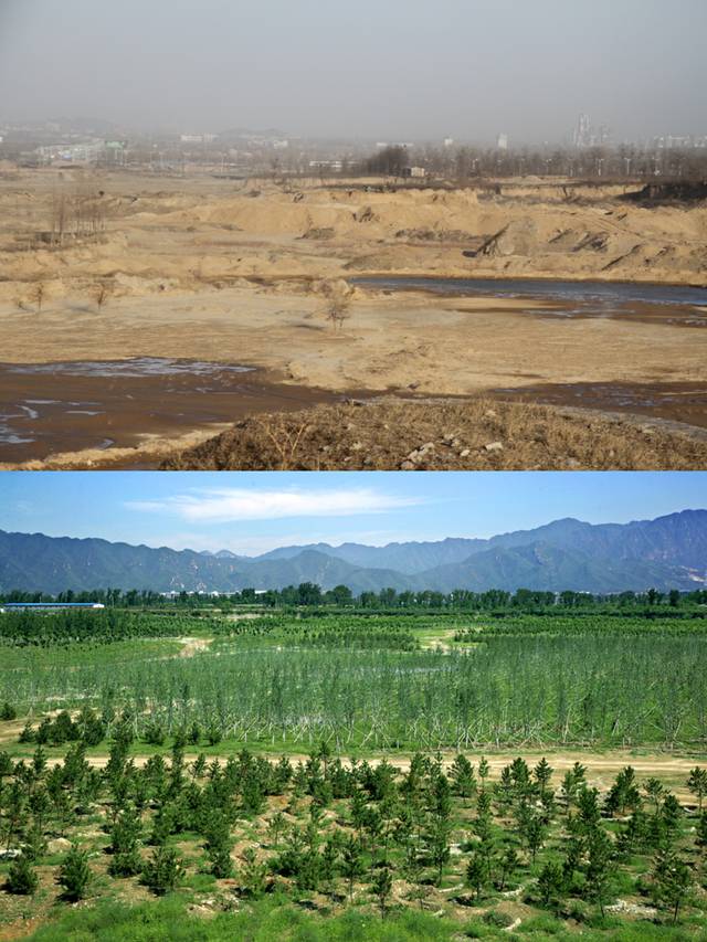 北京彻底治理风沙危害区 昔日"荒滩沙坑"变绿洲