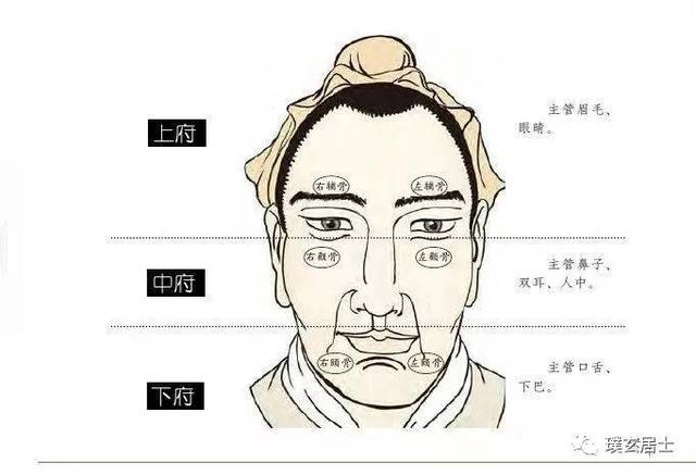 身体骨相算命图解