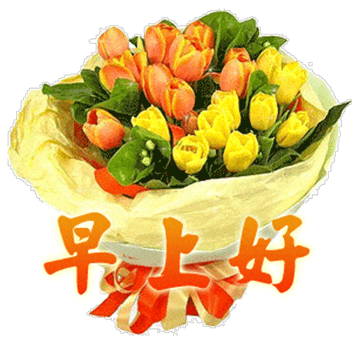 朋友早上好,最美的早上好问候语动态图片大全