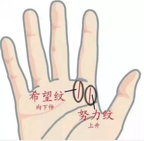 小人纹,人缘纹,不测纹.手相图解看清一生!