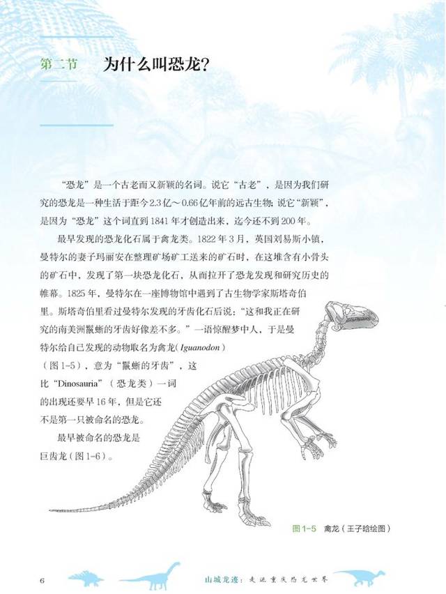 书中大部分的复原图由著名恐龙画师张宗达所绘,将为大家带来更为震撼