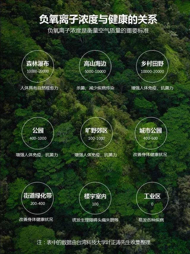 话说能量砖 | 负氧离子如何成为"空气中的维生素"?