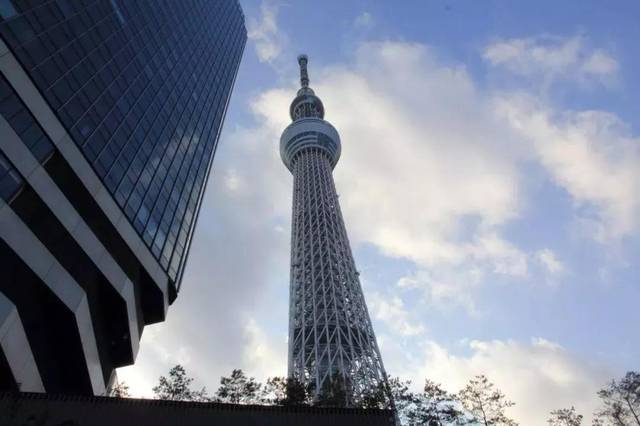全世界最高的自立式电波塔——位于日本东京都墨田区的 东京树,正是