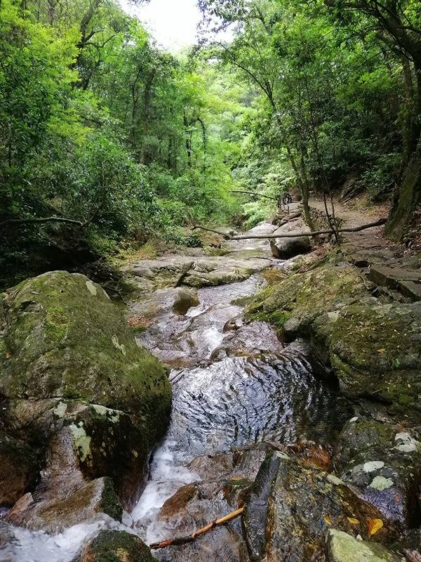 悠游开化古田山