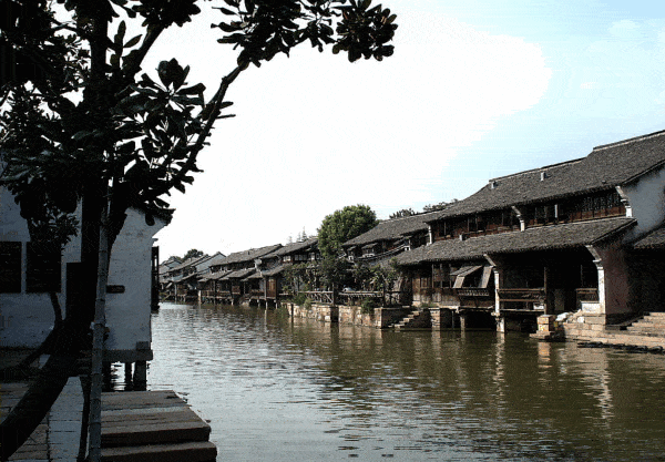 从这里出发, 十公里外是乌镇景区,二十公里外是南浔古镇.