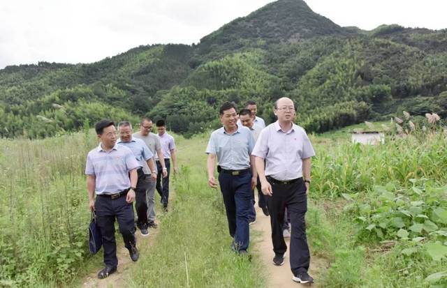 赖正文到上桂村调研基层党建工作