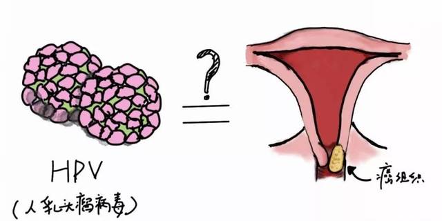 几乎所有的宫颈癌都是高危hpv基因型的持续性病毒感染导致的. ▼