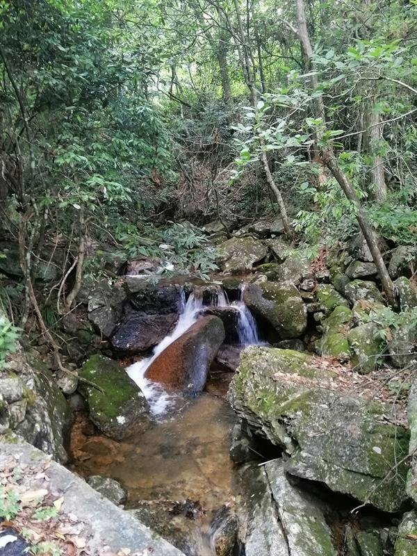 悠游开化古田山