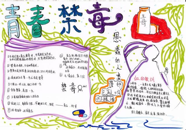 6·26国际禁毒日|新雅街禁毒手抄报大赛作品出来啦,快