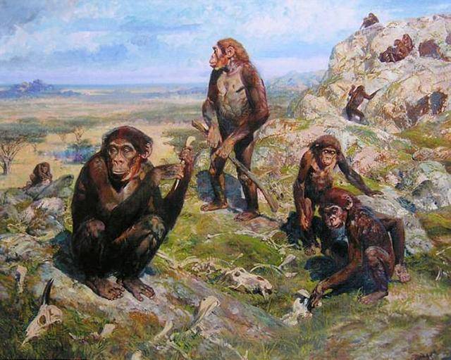 因此,有人就提出,现代人的直系祖先就是当地的早期猿人,智人.