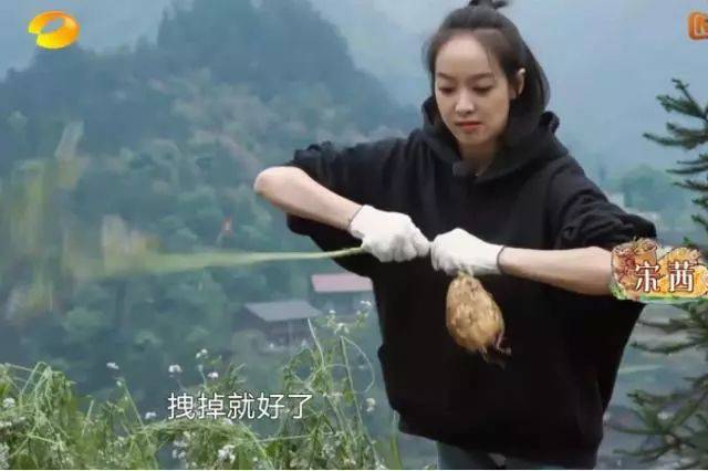 最近,不少网友都被《向往的生活》中的宋茜圈了粉.